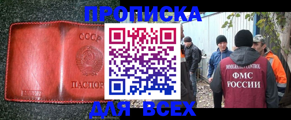 временная регистрация поиск в Новосибирской области