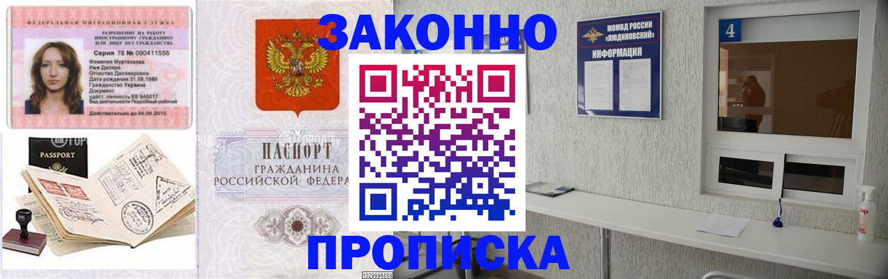 прописка в квартире в Новосибирской области